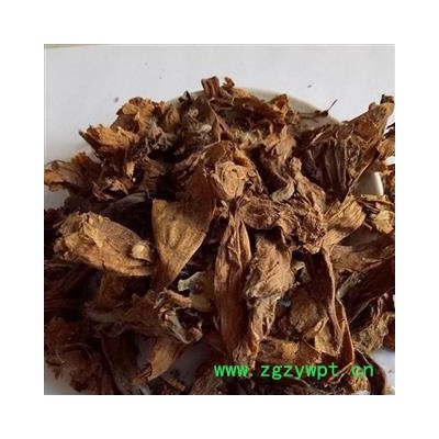 圣草康园梧桐花 梧桐树花 泡桐花