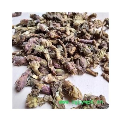 款冬花 款冬花净货 产地 甘肃省