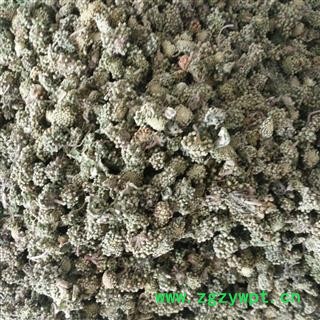 三七花 两年生三七花小统货 产地 云南省