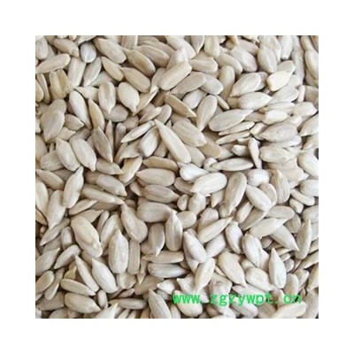 圣草康园葵花子葵花籽仁葵花子仁生无壳瓜子仁 瓜子米原味瓜仁