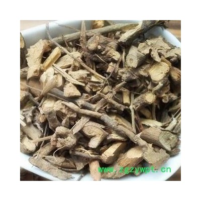 圣草康园月季花月季花根 月季根 月月开根