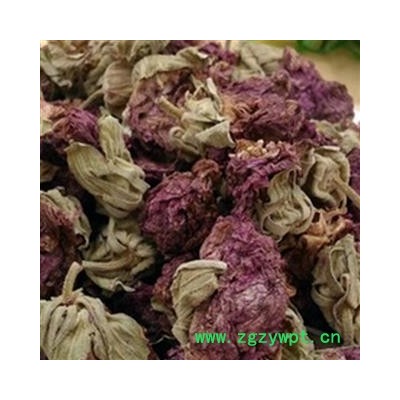 吉康药业中药材芙蓉花