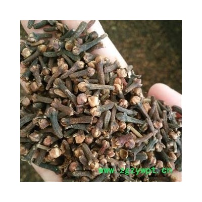 公丁香 丁香大花统货 产地 海外