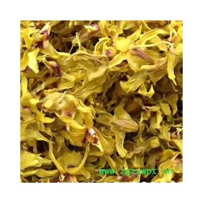 圣草康园铁皮石斛花，浙江乐清石斛花