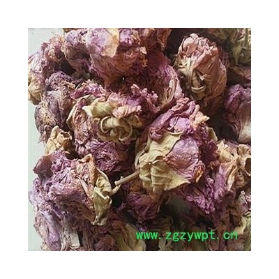 圣草康园无硫芙蓉 芙蓉花地芙蓉