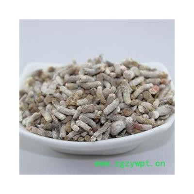 圣草康园白丁香 麻雀粪  量大从优