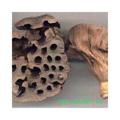 莲房 统货 产地 江西省