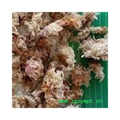圣草康园产地直销菊花 纯干货  菊花炭 河北安国