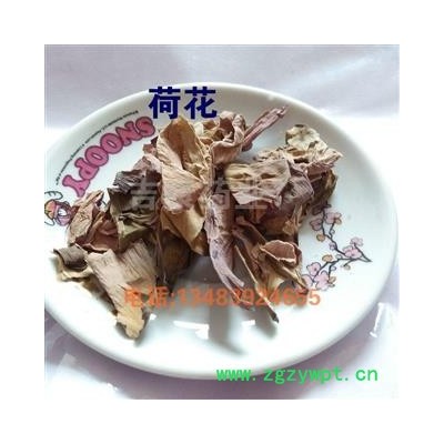 吉康药业中药材 荷花 荷花瓣 莲花瓣 干荷花 三花祛皱液原料