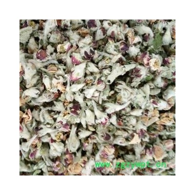 苹果花 一级茶用 产地 山东省