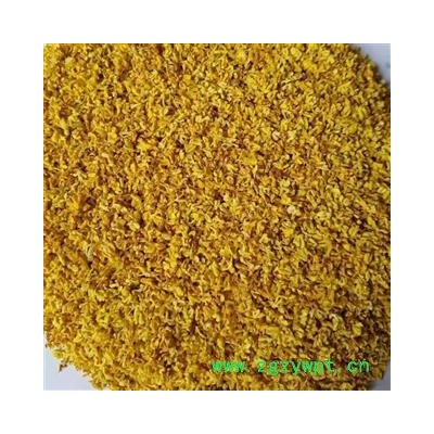 圣草康园 桂花 广西产 （各等级）