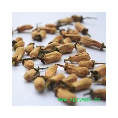 圣草康园代代花 玳玳花今年新货保质保量