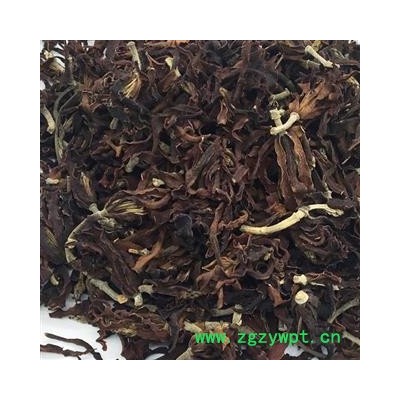 圣草康园玉兰花新货颜色好