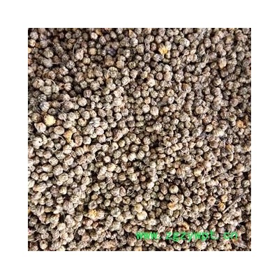 野菊花 野菊花统货 产地 湖北省