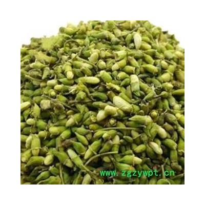 圣草康园槐米 新货 无污染