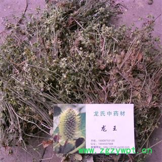 点地梅 统货 产地 四川省成都市双流县