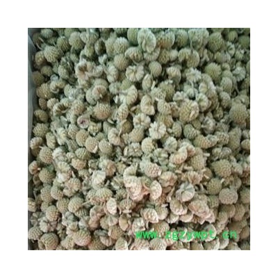 绿萝花 一级选货 产地 西藏自治区