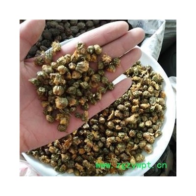 胎菊 选 产地 浙江省 国药堂 专注品质