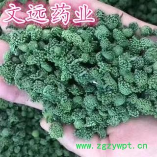 三七花 精选  产地 云南省文山壮族苗族自治州文山县