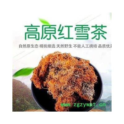 红雪茶 金丝刷 金丝茶 金刷把 红血茶 石蕊 茶用级别 产地 西藏自治区 买好药找娟子
