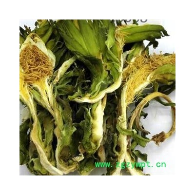 吉康药业霸王花 大王花 剑花 七星剑花 量天尺花