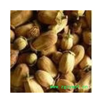 玳玳花 统 产地 浙江省金华市市辖区