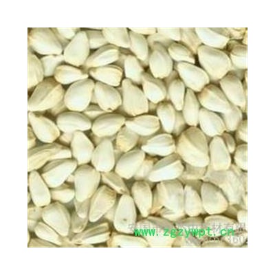 红花 红花籽 红花子 统 产地 新疆维吾尔自治区