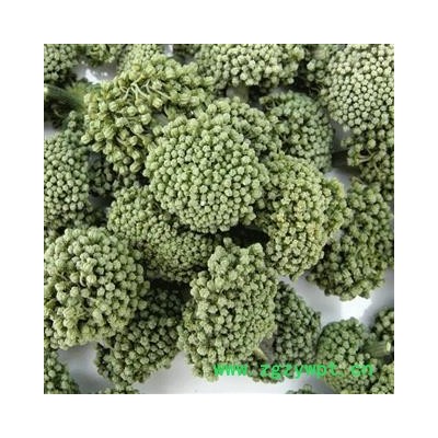 三七花 三年生统货可泡茶 产地 云南省