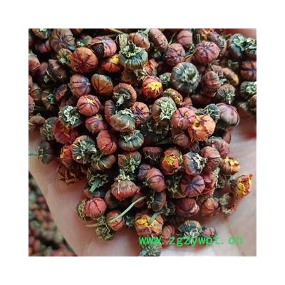 雪菊 昆仑雪菊 可泡茶 产地 新疆维吾尔自治区