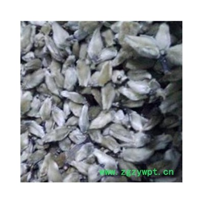 辛夷 辛夷花  低价出售 产地 河南省