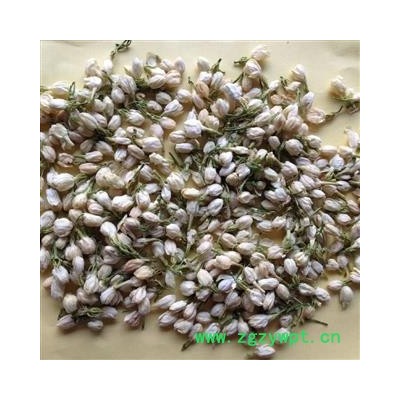 茉莉花 选 产地 广西壮族自治区