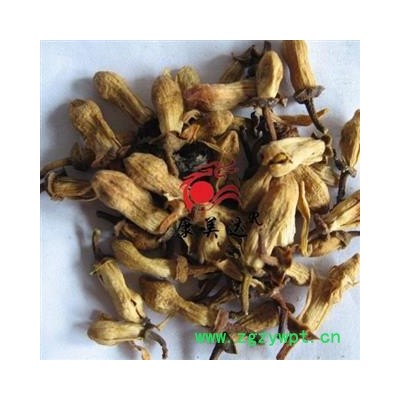 玳玳花 柚子花 统货 产地 浙江省