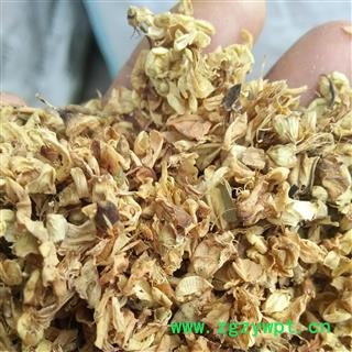 槐花 精选国槐。家槐 产地 河南省平顶山市汝州市