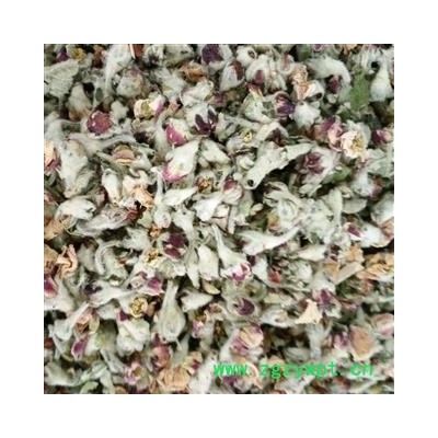 苹果花 一级优质选货 产地 山东省