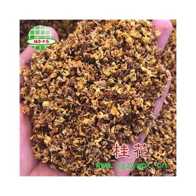桂花 桂花 产地 安徽省 买好药找娟子