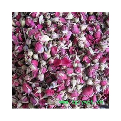 月季花 月季花小朵统货 产地 河南省