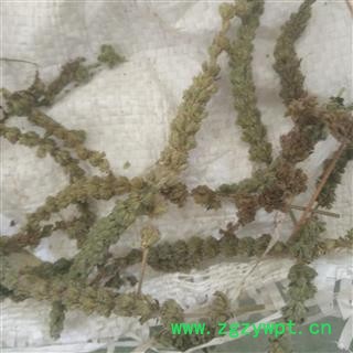 荆芥穗 荆芥穗统货 产地直销 批发各种规格名贵药材 荆芥穗 荆芥穗统货 产地直销 批发各种规格名贵药材
