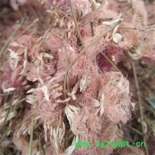 合欢花 豫统 产地 河南省平顶山市汝州市