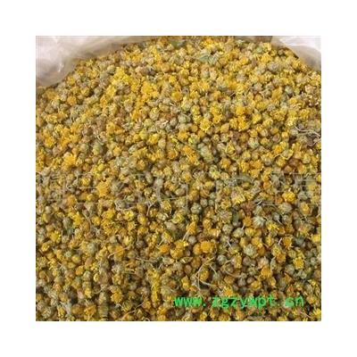 野菊花 菊花  选 产地 河南省