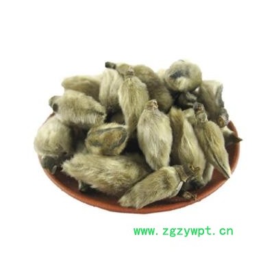 辛夷花 辛夷大桃无柄选货 产地 河南省