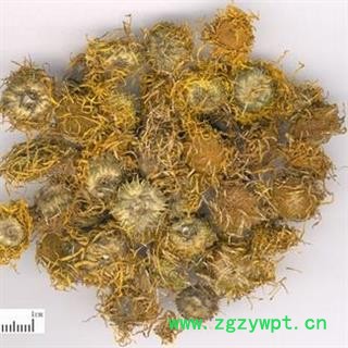 旋覆花 精选野生无硫 产地 河南省平顶山市汝州市