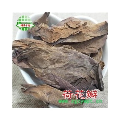 荷花 荷花瓣 产地 山东省 买好药找娟子