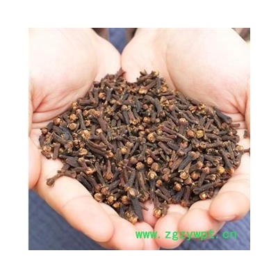 新辉药业正品中药材丁香 香料卤料调味品 火锅底料 公丁香