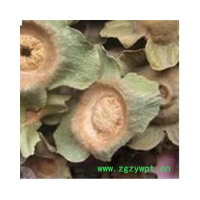 柿蒂 老柿蒂选货 产地 山东省