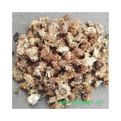 新辉药业优质无硫菊花 祁菊花