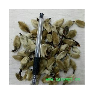 新辉药业正品辛夷花