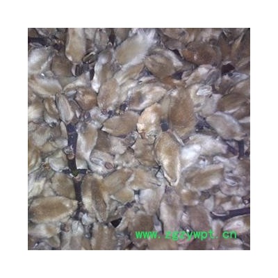 辛夷花 辛夷统货 产地 河南省