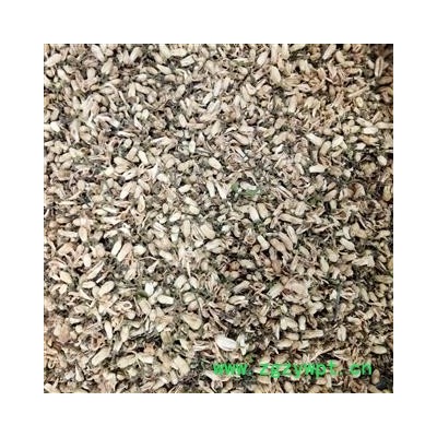 玳玳花 代代花 正品玳玳花 产地 浙江省