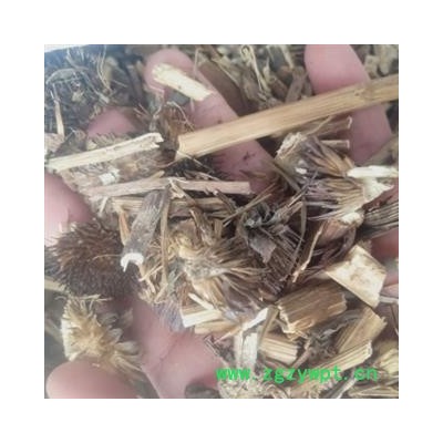 新辉药业中药材紫锥菊 松果菊