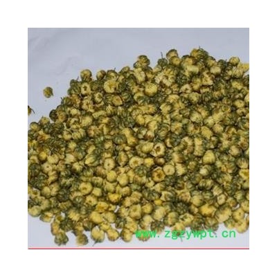 新辉药业胎菊 优质正品